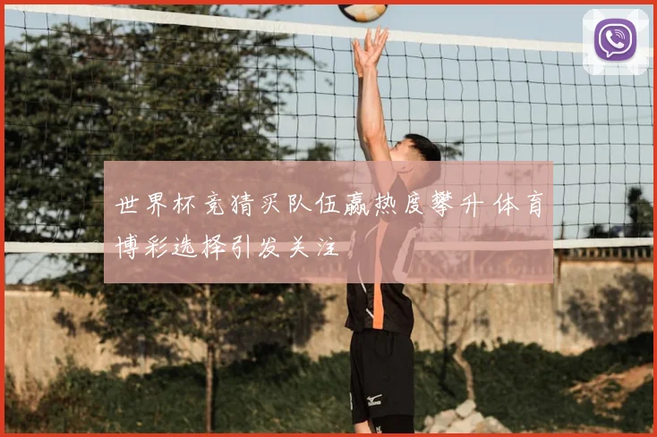 世界杯竞猜买队伍赢热度攀升 体育博彩选择引发关注