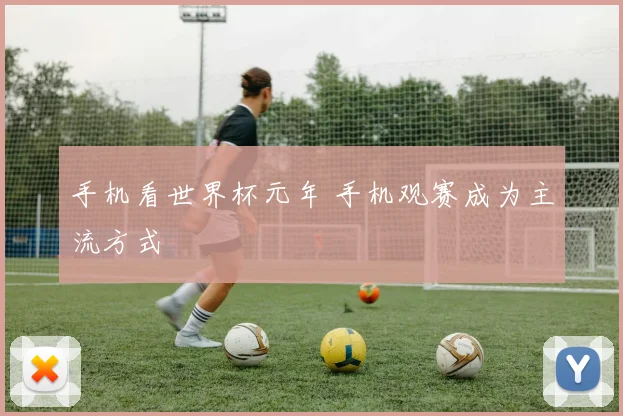 手机看世界杯元年 手机观赛成为主流方式