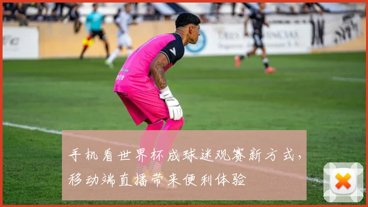 手机看世界杯成球迷观赛新方式，移动端直播带来便利体验